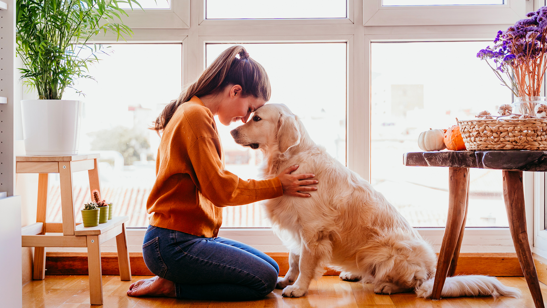 Das Tutela Legale Aggressione Cane Risarcimento 10032021